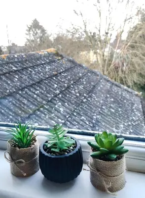 three potted plants sitting on a window sill at 'The Artist's Loft' - Studio Flat in Cambridge in Cambridge