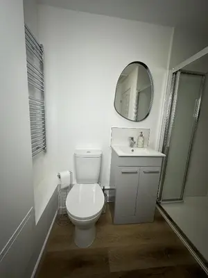 a white bathroom with a toilet and a mirror at Rosern Short Stays in St Ives