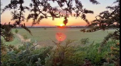 a sunset in the middle of a field with trees at The Orchard's Nook Treehouse in Cottenham