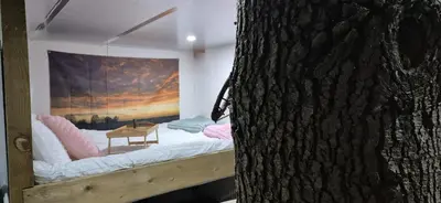 a room with a bed and a tree at The Orchard's Nook Treehouse in Cottenham