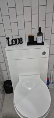a white toilet in a bathroom with a shelf above it at The Orchard's Nook Treehouse in Cottenham