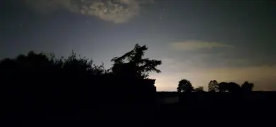 a silhouette of a tree in a field at sunset at The Orchard's Nook Treehouse in Cottenham