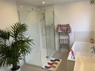 a bathroom with a shower and a potted plant at 4 De Vere Lane, Wivenhoe in Wivenhoe