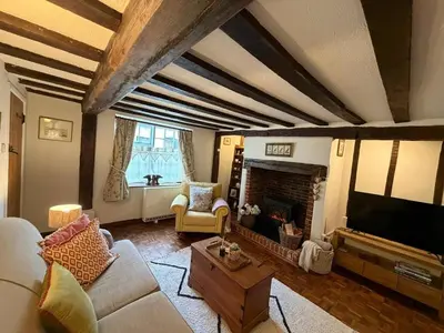 a living room with a couch and a fireplace at Pretty Cottage in Harleston, Norfolk, dog friendly in Harleston