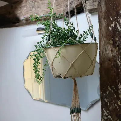 a potted plant hanging on a wall with a mirror at The Old Post Box in Holton