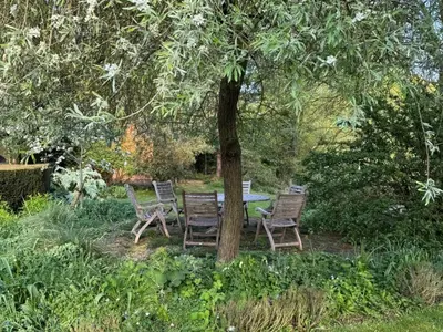 a group of chairs and a table under a tree at 1 Bed in Eye- oc-34390 in Thornham Magna