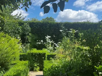 a garden with green vegetation and a blue sky with clouds at 1 Bed in Eye- oc-34390 in Thornham Magna