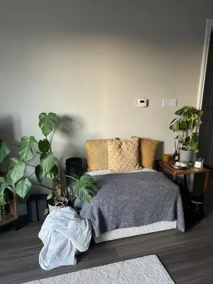 a bedroom with a bed and a bunch of plants at 1 bed flat close to Chelmsford City Centre in Chelmsford