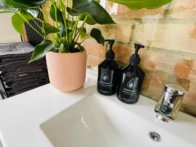 a bathroom sink with two bottles of soap and a plant at Cozy Organic Tea House in Central Ipswich near Waterfront, University and Hospital in Ipswich