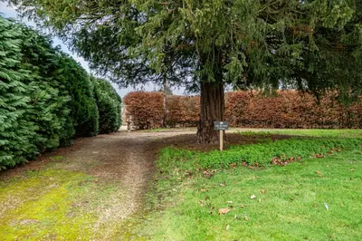 a dirt road with a tree in the middle of a field at Old Rectory Cottage, Tostock in Tostock