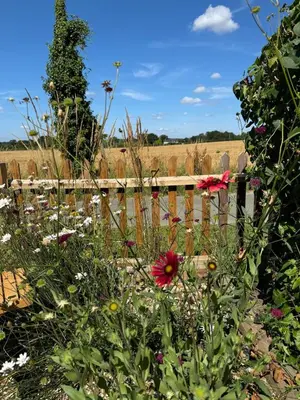a garden with flowers in front of a wooden fence at Cosy Flint Cottage in Thurston