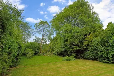 a field of grass with trees and a blue sky at Idyllic rural retreat, easy access to Cambridge