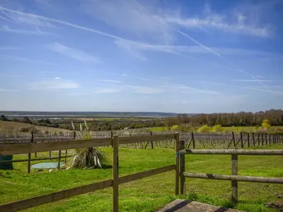 a fence in a field with a view of a vineyard at Ivy No1 - Uk49251 in Althorne