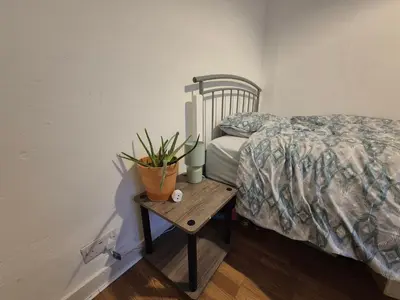 a bedroom with a bed and a table with a plant at Stoke house in Ipswich