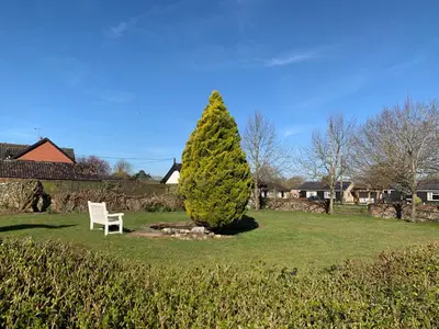 a chair and a pine tree in a yard at Dog-friendly rural retreat in Bury Saint Edmunds