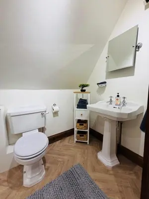 a bathroom with a toilet and a sink at The Barn at Catley Cross House in Little Maplestead