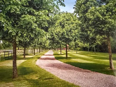 a gravel road in a park with trees at The Barn at Catley Cross House in Little Maplestead