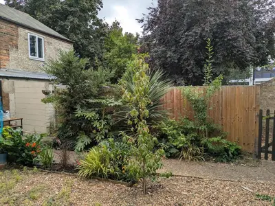 a garden with a fence and some plants at Charming Cambridgeshire Home in Ely