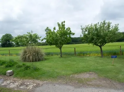 two trees in a field with a sign in the grass at Woodview B Colchester in Birch