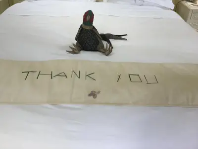 a toy lizard sitting on a bed with the words think x evil at Pheasant Suites in Colchester