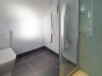a bathroom with a shower and a toilet at Granary Cottage in Bentley
