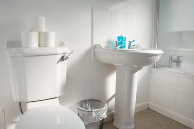a white bathroom with a toilet and a sink at Friarscroft Lodge Holiday Home in Wymondham