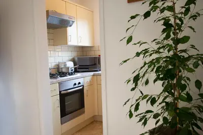 a kitchen with a stove top oven next to a plant at Friarscroft Lodge Holiday Home in Wymondham