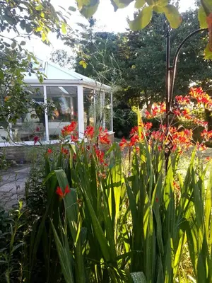 a garden with red flowers and a gazebo at Folly Studio Bed and Breakfast in Bungay