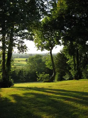 a field of grass with trees in the background at Folly Studio Bed and Breakfast in Bungay