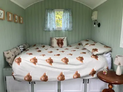 a bedroom with a bed with cats on the sheets at Bells Meadow Shepherds Hut in Kings Lynn
