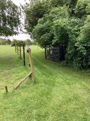 a wooden fence in the grass next to a tree at Bells Meadow Shepherds Hut in Kings Lynn