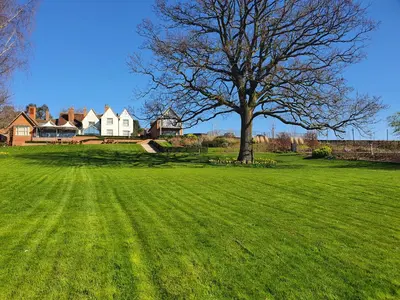 a large green field with a tree in front of a house at Marquis Suffolk in Ipswich