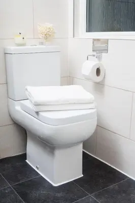 a white toilet in a bathroom with a window at Wherstead House in Ipswich