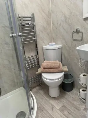 a bathroom with a toilet and a shower and a sink at CARIS Guest House in Southend-on-Sea