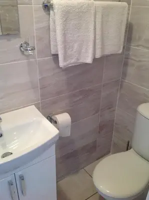 a bathroom with a toilet and a sink at Repton Private Hotel in Romford