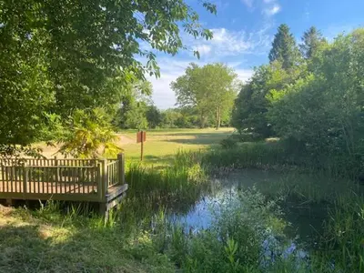 a wooden bench next to a pond in a park at Old Rectory - Scoulton in Great Ellingham