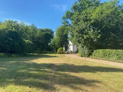 a large yard with a house and a tree at Old Rectory - Scoulton in Great Ellingham