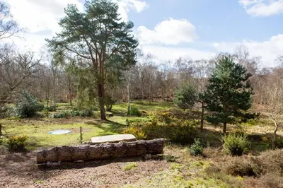 a stone bench sitting in a field with trees at The Retreat, Unique property located in calming woodland surroundings, Close to Aldeburgh and Thorpeness in Leiston