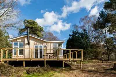 a tiny house with a deck in the woods at The Retreat, Unique property located in calming woodland surroundings, Close to Aldeburgh and Thorpeness in Leiston
