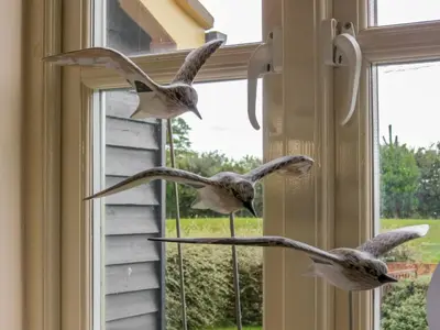 a group of birds flying in front of a window at Sanderling Home in Aldeburgh