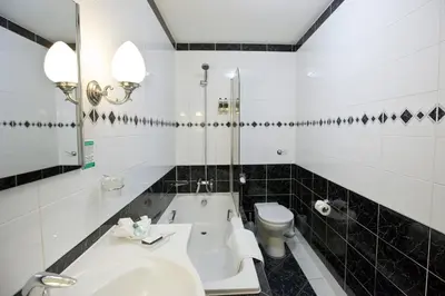 a bathroom with a tub and a toilet and a sink at Marygreen Manor in Brentwood