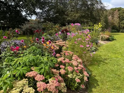 a garden filled with lots of different colored flowers at Broom Hall Country Hotel in Saham Toney
