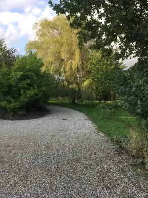 a gravel road in a park with trees and grass at Private luxury retreat in Sible Hedingham