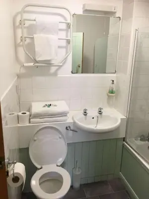 a bathroom with a toilet and a sink at The White Horse Inn in Cambridge