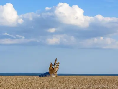 a dead plant in the middle of a beach at 2 Suffolk Cottage, Knodishall - Aldeburgh Coastal Cottages in Aldringham