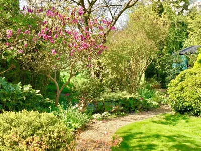 a garden with pink flowers and trees and grass at Laurels in Felsted