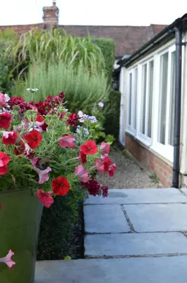 a vase filled with red flowers next to a door at Motts Bed & Breakfast in Great Dunmow