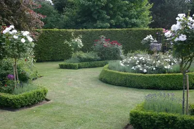 a garden with a bunch of flowers and bushes at The Domek in Ashwell