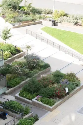an overlook of a garden with flowers and plants at Contemporary & Homely Penthouse, 2 mins walk from Cambridge Station, lift access, secured gated on-site parking, self check-in, SUPER Fast WIFI, Terrace & Sleeps 6 in Cambridge