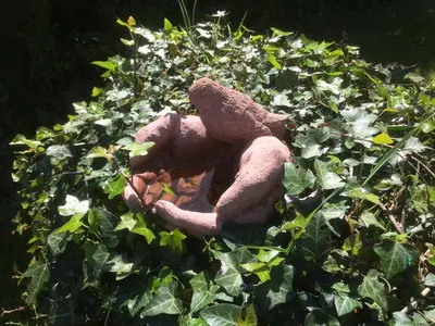 a stuffed teddy bear sitting in a bush at Chestnut Cottage in East Bergholt